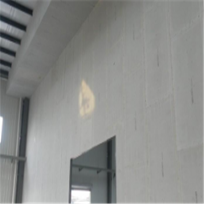 府谷宁波ALC板|EPS加气板隔墙与混凝土整浇联接的实验研讨